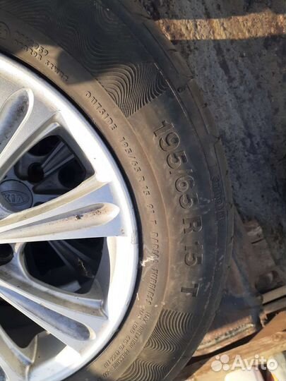 Колеса на kia ceed оригинал 195/65 R15 continental