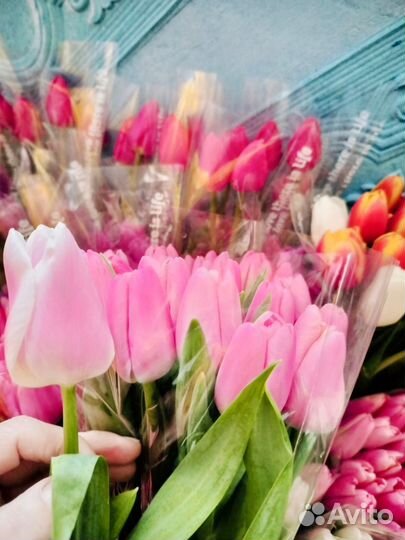 Тюльпаны к 8 марта доставка