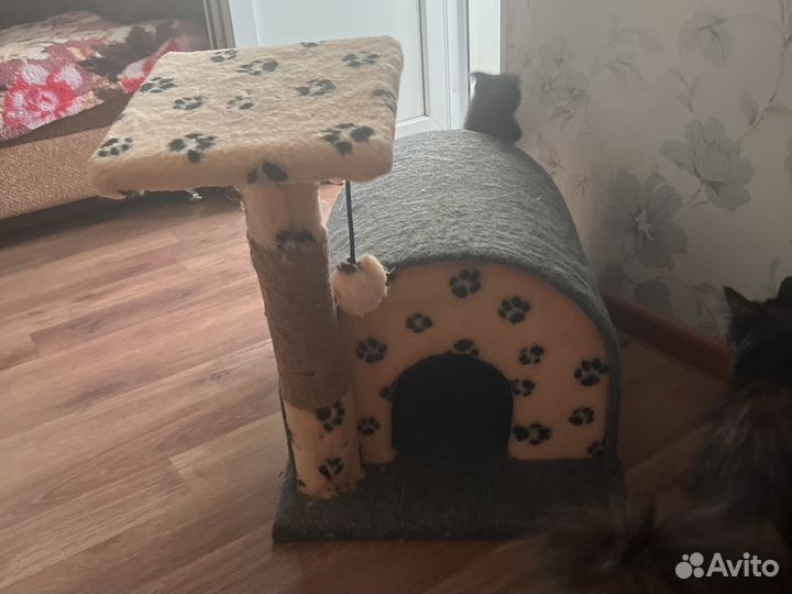 Домик для кошки новый