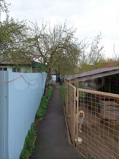 Дом 149,9 м² на участке 9,9 сот.