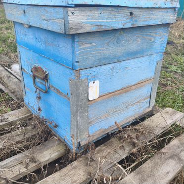 Продам улья и пчел с ульями