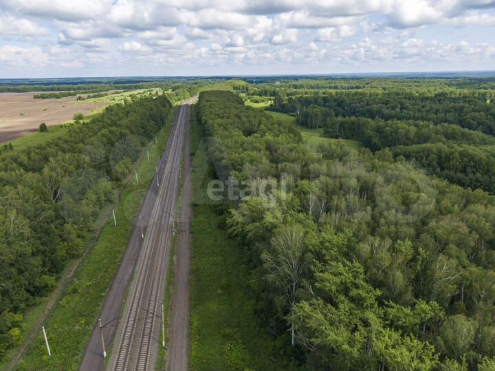Участок 131,44 га (СНТ, ДНП)