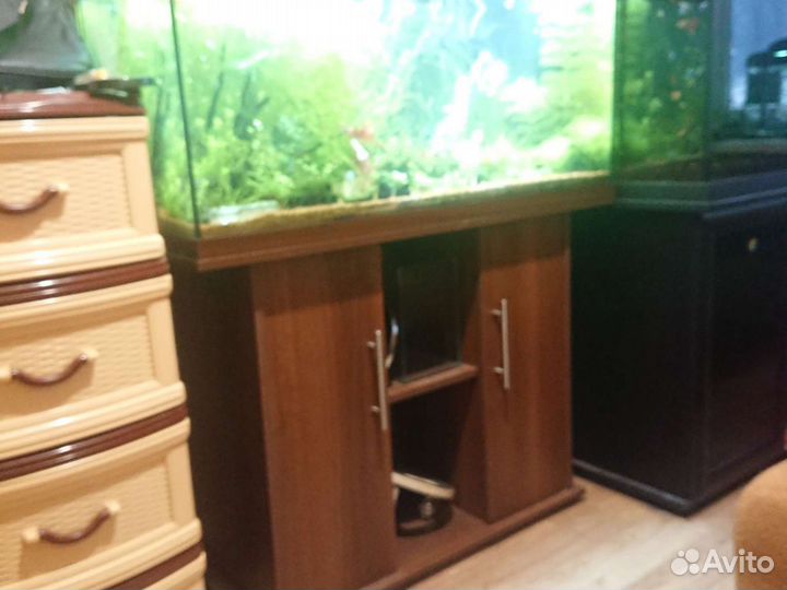 Аквариум