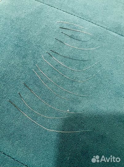 Усы бенгальской кошки