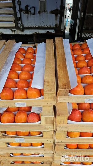 Хурма огонёк