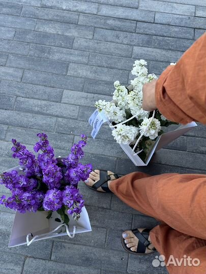 Маттиола, букет из маттиолы с доставкой