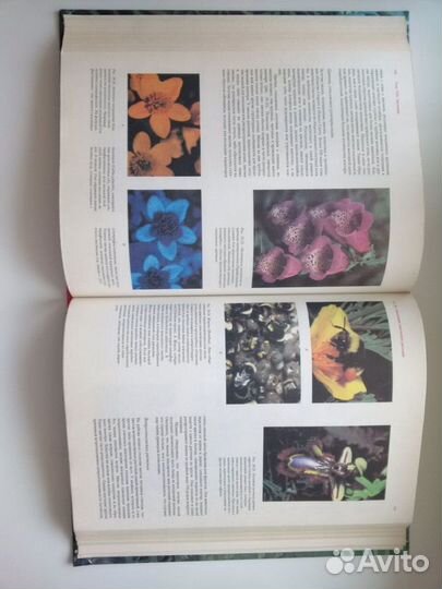 Жизнь растений в 7 книгах Современная ботаника 2 т