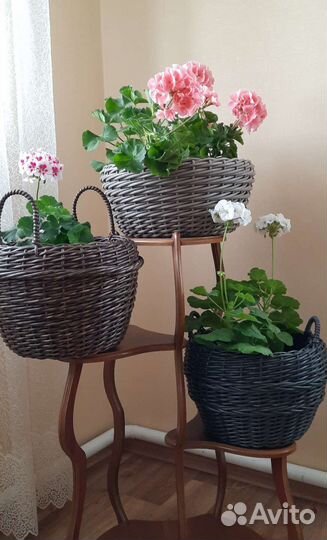 Кашпо горшок для цветов