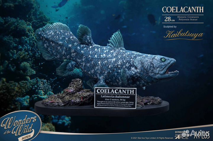 Coelacanth