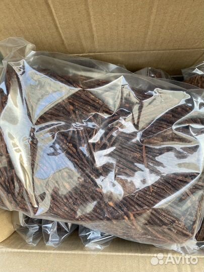 Паутинка морская чернила каракатица