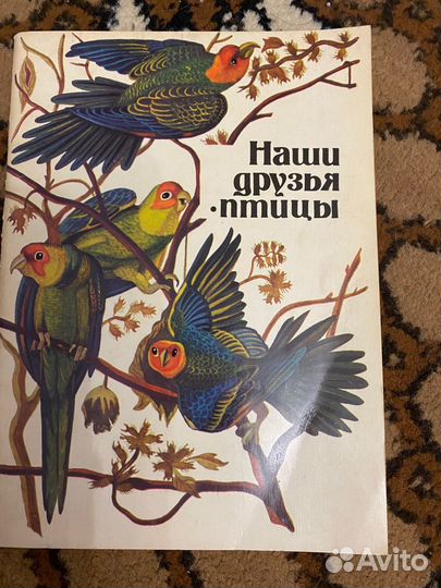 Книги про животных
