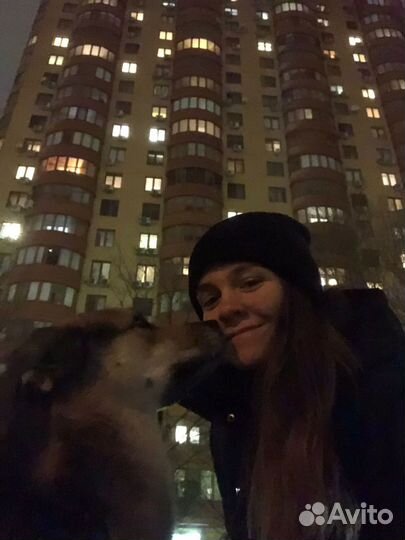 Выгул собак