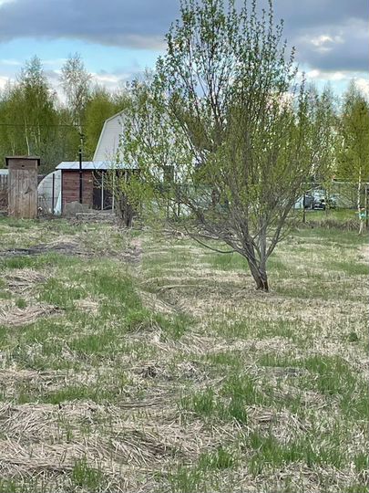 Участок 12 сот. (СНТ, ДНП)