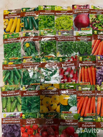 Семена в наличии