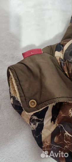 Одежда для собак