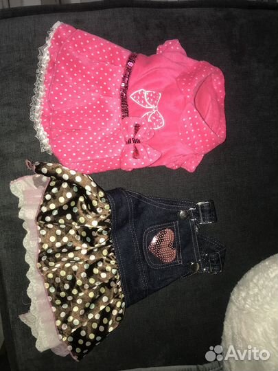 Одежда, обувь для собак