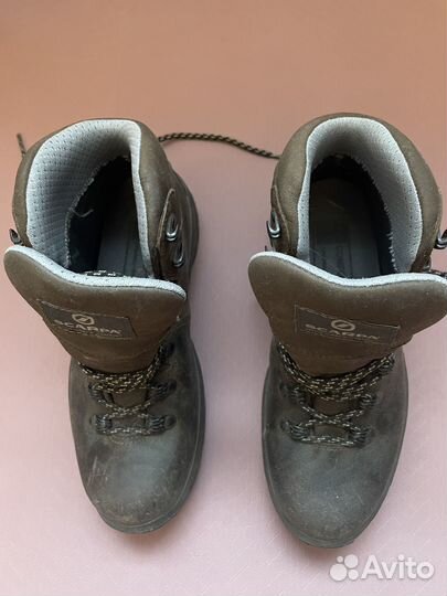 Трекинговые ботинки scarpa Terra GTX 37