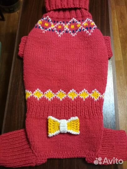 Одежда для собаки таксы