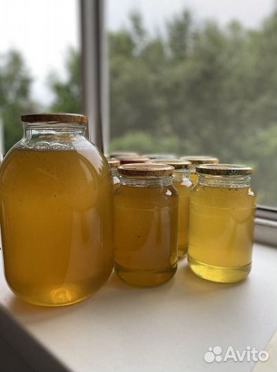 Башкирский мёд (липовый )