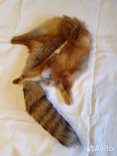 Меховой воротник лиса
