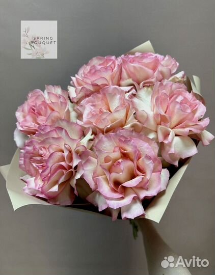 Букет роз 25 штук