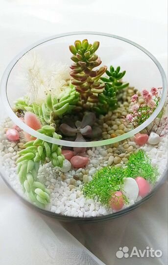 Флорариум из сукулентов 