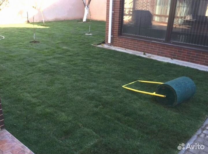 Рулонный газон