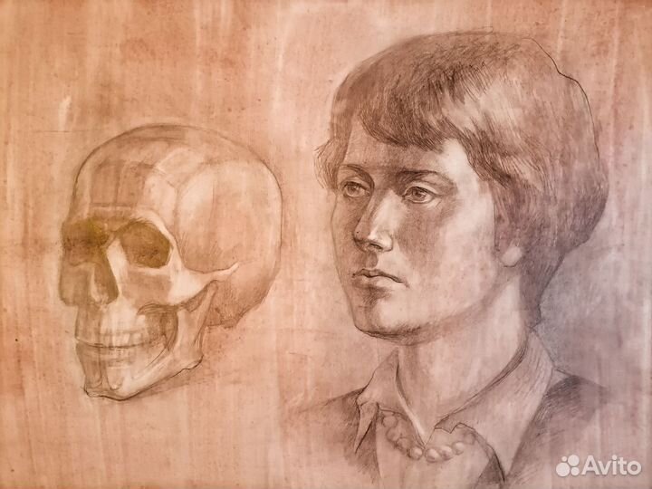 Академический рисунок Голова Части лица Череп