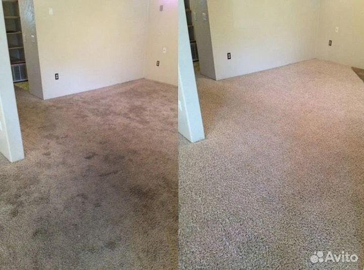 Аренда Karcher. Химчистка. Пароочистители