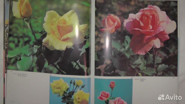 Розарий Альбом