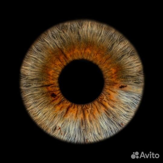Фото радужки глаза Краснодар