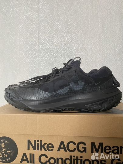 Nike ACG Mountain Fly 2 Low 