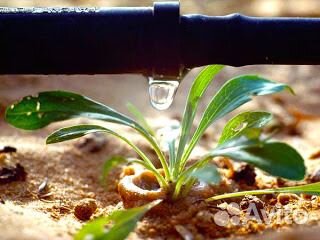 Капельный полив 