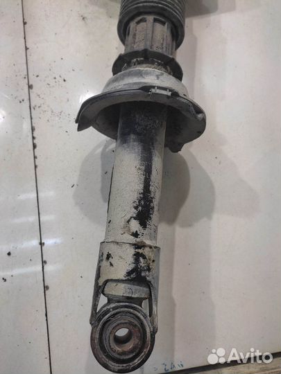 Амортизатор (задний, левый) (Haval F7)