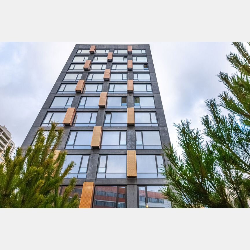 1-к. квартира, 45,5 м², 8/8 эт.