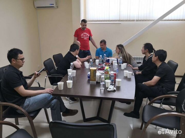 Переводчик китайского языка