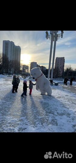 Белый мишка