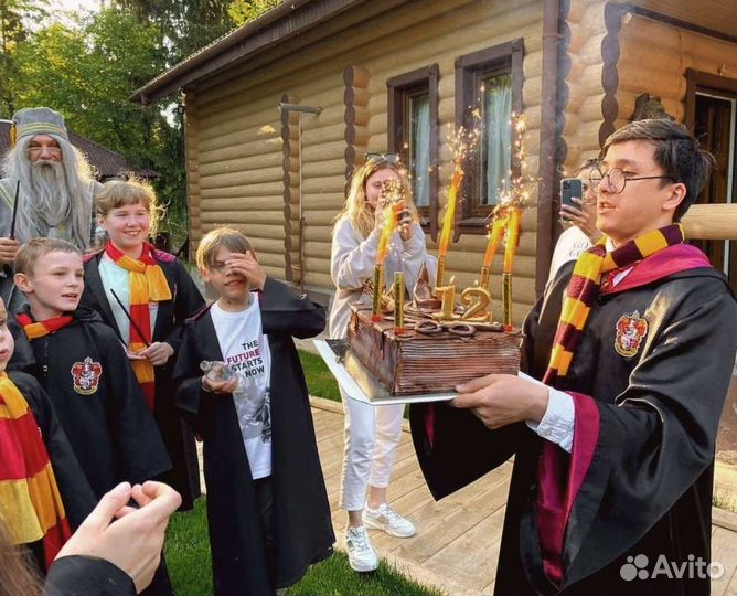 Аниматор на детский праздник, выпускные