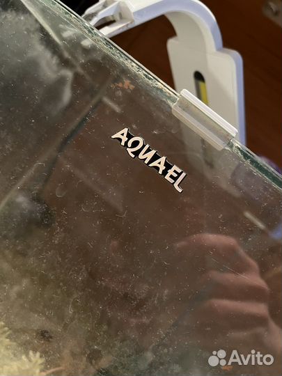 Аквариум с светильником и наполнением