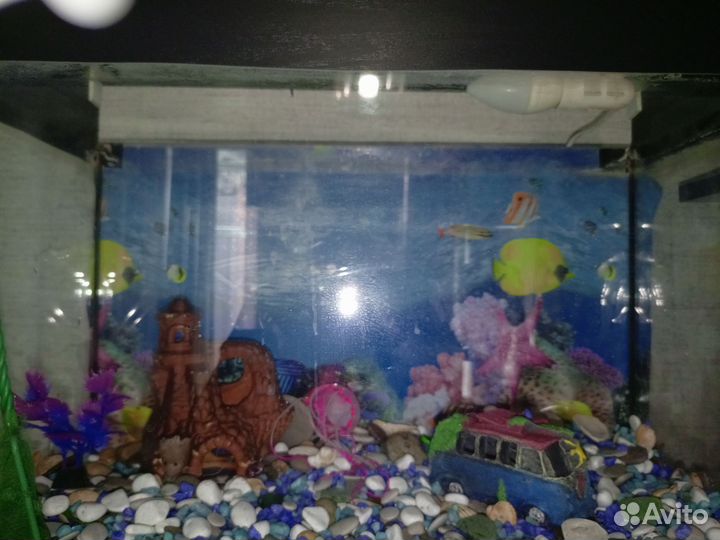 Аквариум 35 литров