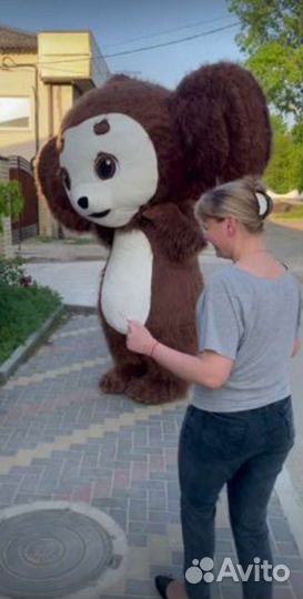 Заказать медведя на день рождения