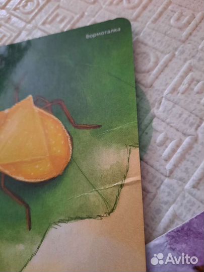 Умница говорим с пеленок