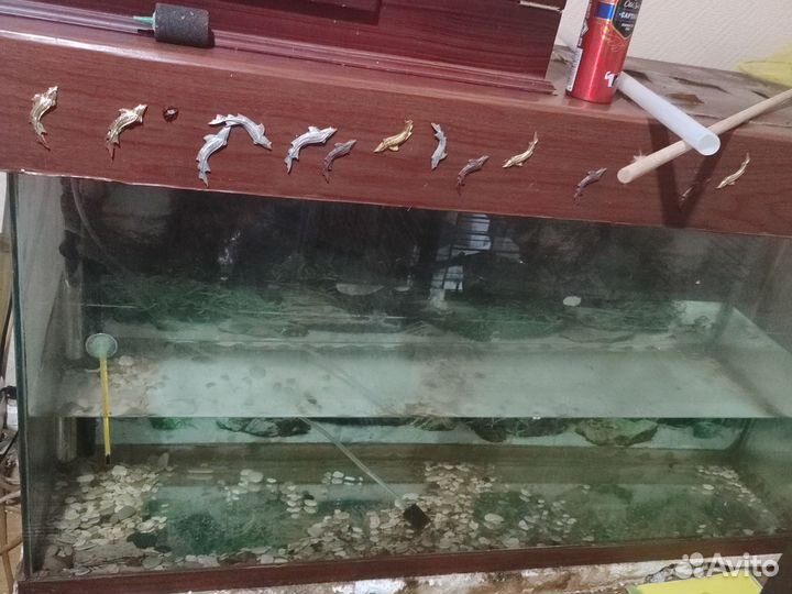 Террариум большой