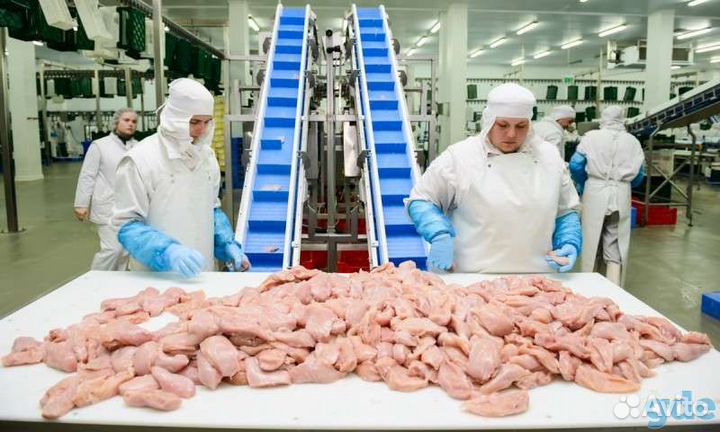 Оплата каждую неделю на птицефабрике Челябинск