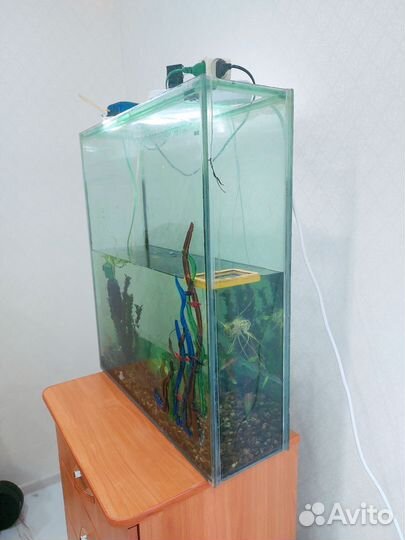 Аквариум