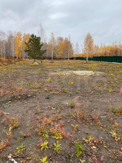 Участок 36 сот. (ИЖС)