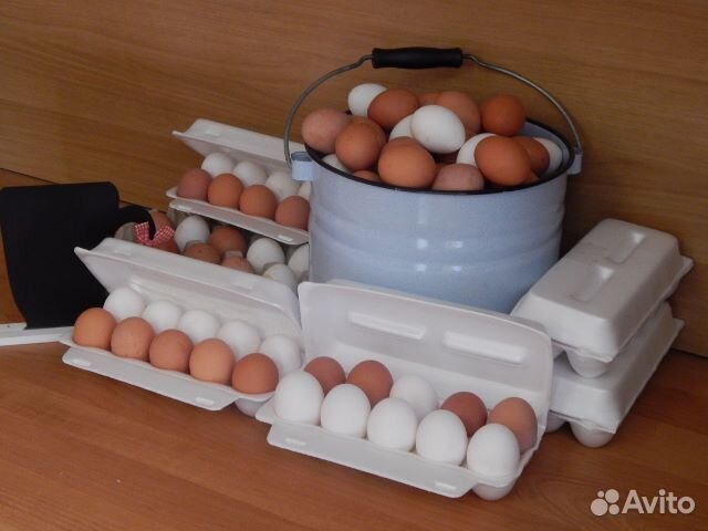 Домашнее Молоко и творог