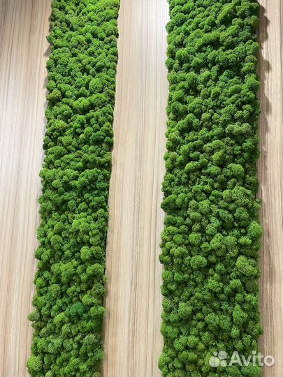 Мох Панно и Панели Готовые По Инд.размерам