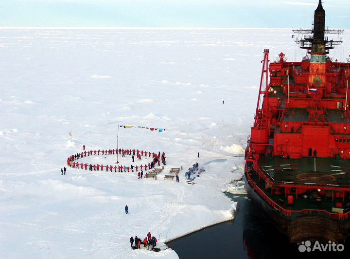 Миниатюра Arma Models AM35014 1/350