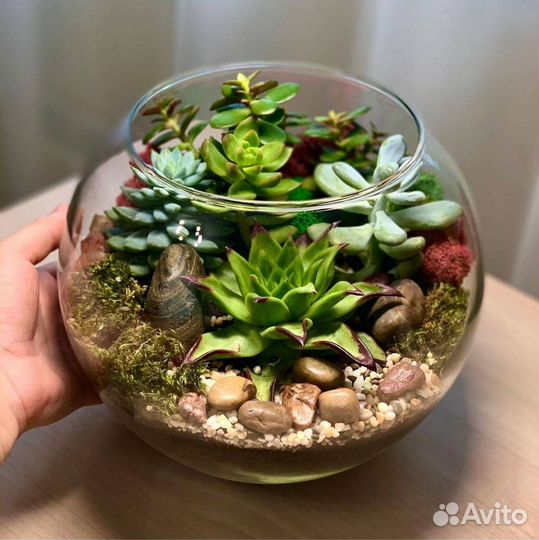 Флорариум+ ваза для флорариума
